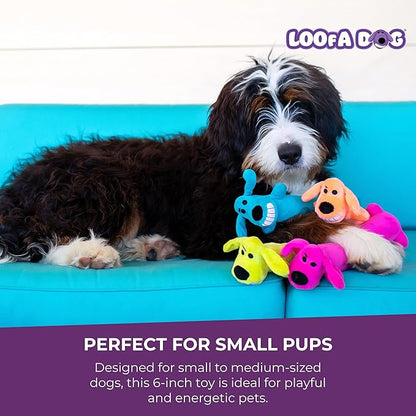 Multipet Original Loofa Dog Plush Toy - Squeaky Toy for All Dogs - Extra Soft Plush - Stuffed Animal Dog Toys for Playing (1 Count, 6”, Random Color Surprise)