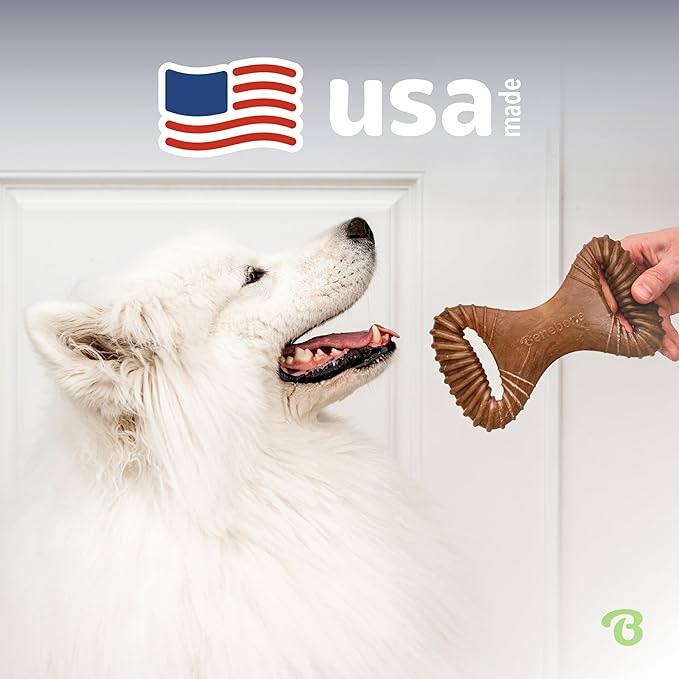 Benebone Dental Durable Dog Chew Toy for Aggressive Chewers, Real Chicken, Made in USA, Medium