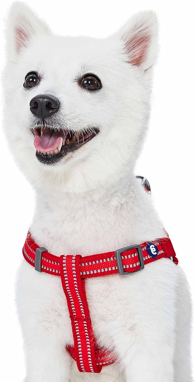 Blueberry Pet Essentials Reflective Back to Basics Matching Dog Harness and Leash Set, Rouge Red, Adjustable Harness with 4 ft Leash for Large Dogs