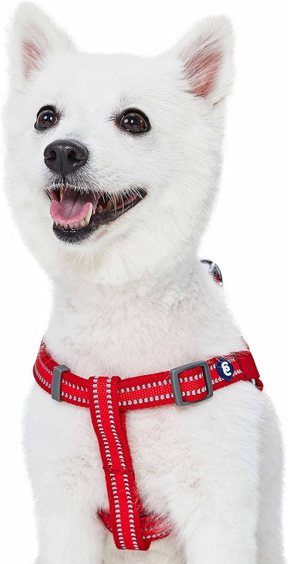Blueberry Pet Essentials Reflective Back to Basics Matching Dog Harness and Leash Set, Rouge Red, Adjustable Harness with 4 ft Leash for Large Dogs