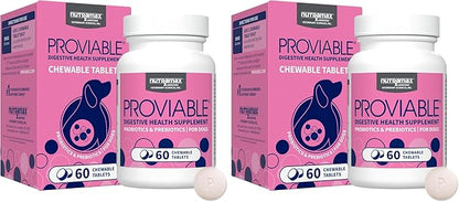 Nutramax Proviable Probiotics for Dogs, Daily Digestive Health Supplement with Multiple Strains of Bacteria, Dog Probiotics Plus Prebiotics, 60 Chewable Tablets,(Pack of 2)