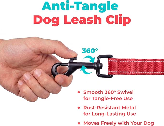 Best Pet Supplies Voyager Reflective Dog Leash or Collar with Neoprene Handle, for Small, Medium, and Large Breed Puppies, Cute and Heavy Duty for Walking, Running and Training - Red (Leash), M