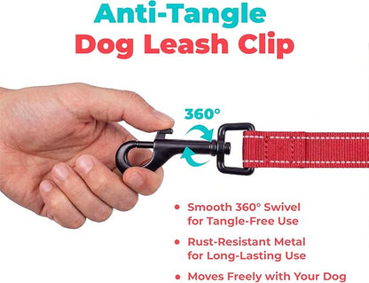 Best Pet Supplies Voyager Reflective Dog Leash or Collar with Neoprene Handle, for Small, Medium, and Large Breed Puppies, Cute and Heavy Duty for Walking, Running and Training - Red (Leash), M