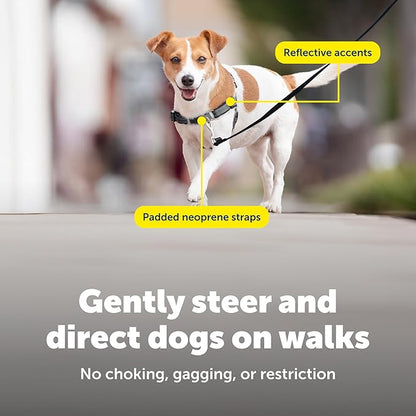 PetSafe Deluxe Easy Walk Harness - Trainer-Trusted Dog Chest Harness with Breathable Martingale Loop Design - Helps Stop Pulling with No Choking & Gagging - Small - Steel