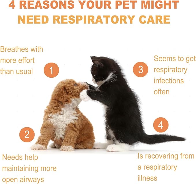 Respiratory Health Supplement for Cats for Dogs – Herbal Formula with Honeysuckle, Licorice, Houttuynia & Vitamins – Supports Clear Breathing, Lung Function & Seasonal Allergy Relief – 3.38oz (100ml)