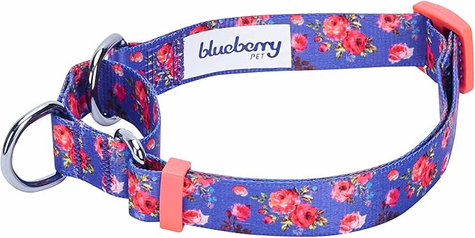 Blueberry Pet Spring Scent Inspired Rose Print Martingale Safety Training Dog Collar, Irish Blue, Medium, Heavy Duty Adjustable Collars for Dogs