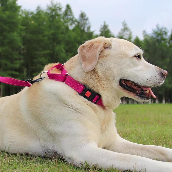Joytale Martingale Collar for Dogs, Reflective Heavy Duty for Safety, Quick Release Buckle, Adjustable Nylon Collars for Small Dogs Walking Training, Hotpink,S