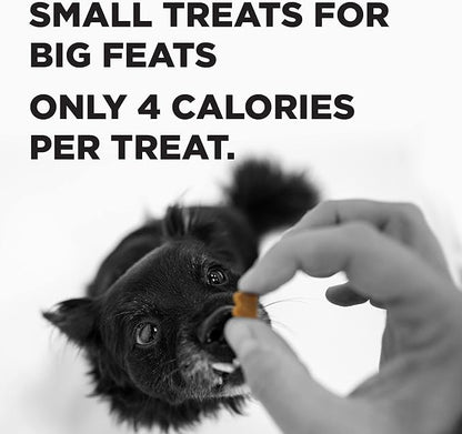 BIXBI Liberty Trainers, Chicken (6 oz, 1 Pouch) - Small Training Treats for Dogs - Low Calorie and Grain Free Dog Treats, Flavorful Pocket Size Healthy and All Natural Dog Treats