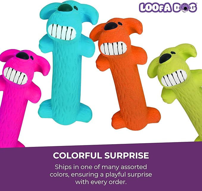 Multipet Original Loofa Latex Dog Toy - Squeaky Toy for All Dogs - Easy-to-Clean Squeaky Toys - Latex Dog Toys for Playing (1 Count, 6”, Random Color Surprise)