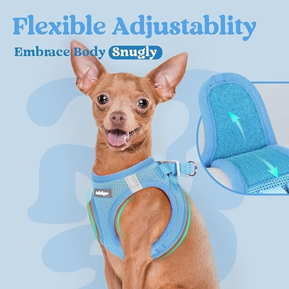 rabbitgoo Small Dog Harness, Step-in Soft Mesh Puppy Vest with Safety Buckle, Breathable Reflective Pet Harness for Extra Small Dogs, Blue XXS