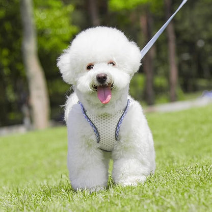 Summer Soft Dog Harness and Leash Set,Ultra Thin Breathable Diamond Mesh, Step in Adjustable Dog Harness with Padded Vest for Medium Size Dogs in Hot Weather White L