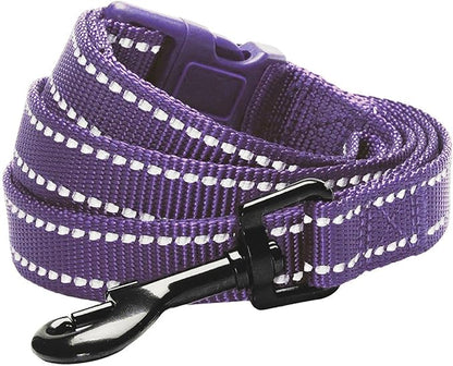 Blueberry Pet Essentials Durable 3M Reflective Classic Dog Leash 4 ft x 1", Violet, Large, Leashes for Dogs