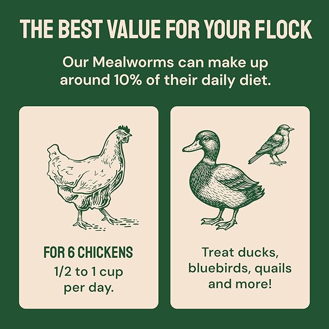 Hatortempt Bulk Dried Mealworms - 10 Lb Bag - Non-GMO Dried Mealworms for Chickens, Ducks & Wild Birds - High-Protein Chicken Feed & Bird Food