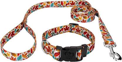 Country Brook Petz - Brisk Autumn Everyday Dog Collar and Leash - Awesome Autumn Collection Featuring Designs You Will Fall for (1 Inch, Extra Large)
