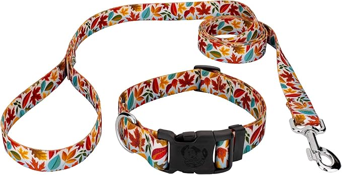 Country Brook Petz - Brisk Autumn Everyday Dog Collar and Leash - Awesome Autumn Collection Featuring Designs You Will Fall for (1/2 Inch, 2XS)
