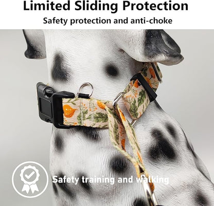 Martingale Collar for Dogs with Buckle Adjustable Nylon Slip No Pull Training Dog Collars (Beige Floral, Large)