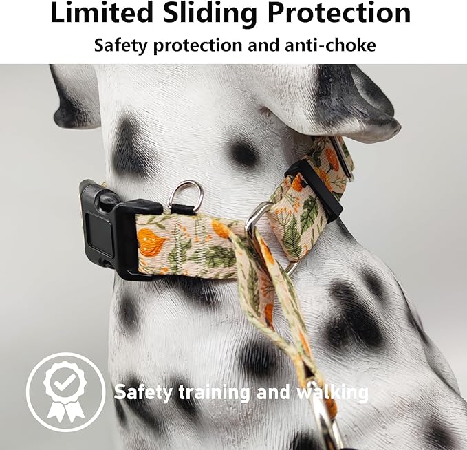 Martingale Collar for Dogs with Buckle Anti Pull Adjustable Nylon Limited Slip Training Dog Collars (Beige Floral, Medium)
