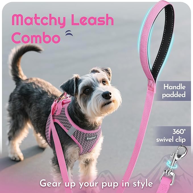 Eagloo Small Dog Harness and Leash Set, Step in Puppy Vest with Breathable Soft Mesh, Walking Reflective Pet Harness for Medium Small Dogs, Pink, L