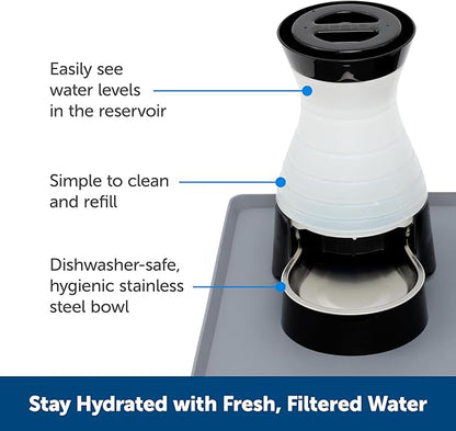 PetSafe Healthy Pet Water Station-Small,64 oz Capacity-Gravity Pet Water Fountain,Automatic Cat-Water Fountain,Dog-Water-Fountain,Water-Dispenser-Removable Stainless Steel Bowl Included,(Pack of 2)
