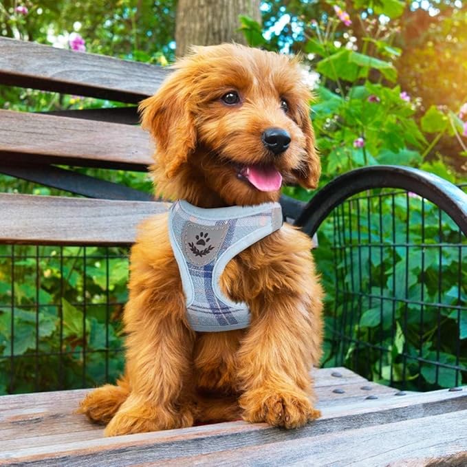 PUPTECK Adjustable Dog Harness Collar and Leash Set Step in No Pull Pet Harness for Small Medium Dogs Puppy and Cats Outdoor Walking Running, Soft Mesh Padded Reflective Vest Harnesses, Blue M
