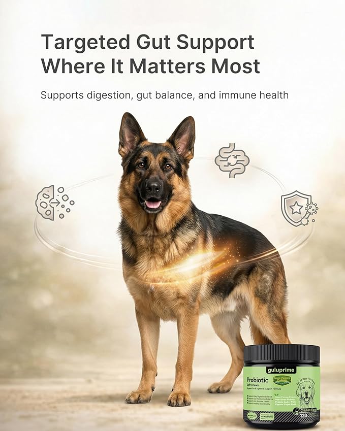Probiotics for Dogs – Digestive & Gut Health Support, Dog Probiotic Chews with Spore-Forming Bacillus Coagulans, Multi-Strain Lactobacillus + Prebiotic Inulin, Chicken Flavor, 120 Soft Chews