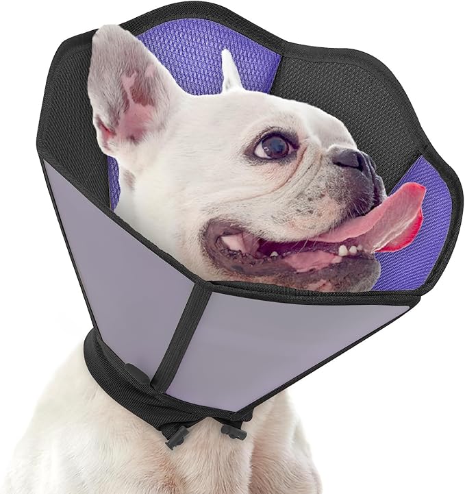 Cone for Dogs to Stop Licking - Soft Dog Cone with Double-Layer Design, Small Dog Cones Collar Alternative, Adjustable Pet Recovery Collar for Dogs After Surgery, Black S