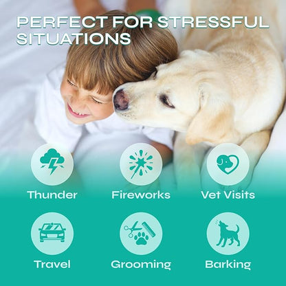 Dog Calming Chews with Hemp - 17,810 mg Hemp Oil per Pack - Soft Calming Chews for Dogs with Melatonin - Relaxation Support for Travel, Grooming, Separation, Thunder, Fireworks - 130 Chicken Bites