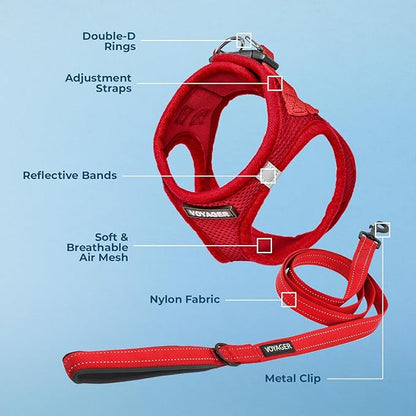 Best Pet Supplies Voyager Step-in Air All Weather Mesh Harness and Reflective Dog 5ft Leash Combo with Neoprene Handle, for Small, Medium and Large Breed Puppies - Set (Red), Medium