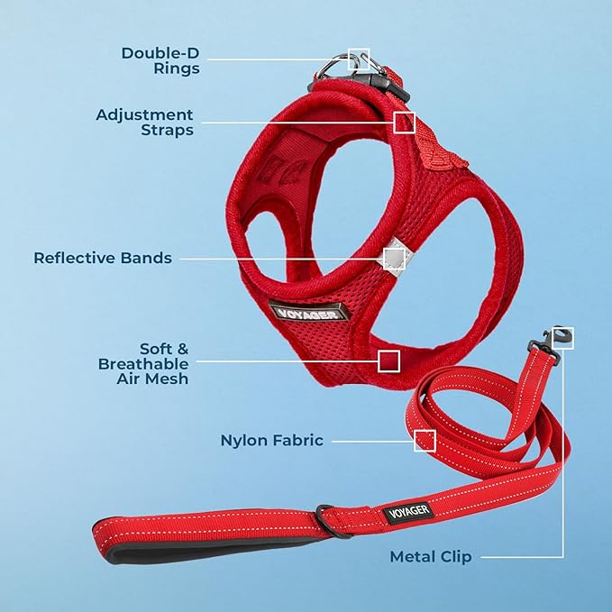 Best Pet Supplies Voyager Step-in Air All Weather Mesh Harness and Reflective Dog 5ft Leash Combo with Neoprene Handle, for Small, Medium and Large Breed Puppies - Set (Red), XX-Small