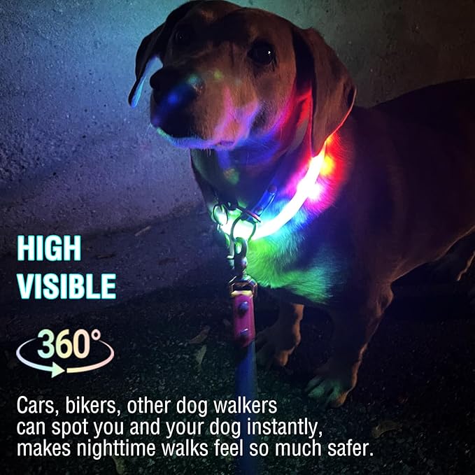 Light Up Dog Collar Multicolor LED USB C Rechargeable, Glow in The Dark Collar for Night Walking, Cuttable for Large Medium Small Dogs Pet (Multicolor Dog Collar)