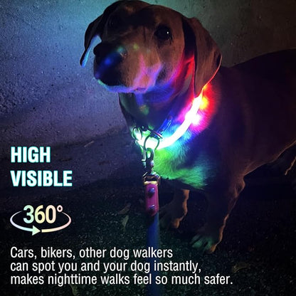 Light Up Dog Collar Multicolor LED USB C Rechargeable, Glow in The Dark Collar for Night Walking, Cuttable for Large Medium Small Dogs Pet (Multicolor Dog Collar)