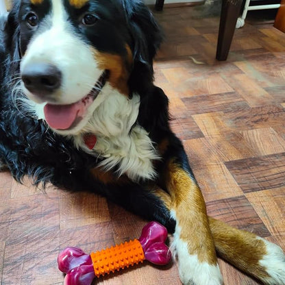 Apasiri Tough Dog Toys for Aggressive Chewers: Peanut Butter Flavored Long Lasting Dog Bones for Large Dogs, Heavy Duty Nylon & Rubber Dog Chew Toys to Keep Them Busy, Medium & Large Breed, Orange