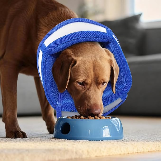 Dog Cone Alternative for Small Dogs to Stop Licking | Adjustable Recovery Cone Collar for After Surgery & Wounds, Lightweight & Comfortable Elizabethan Protective E-Collar (Blue, M)