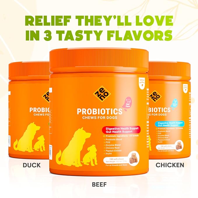 ZENO Probiotics for Dogs Chews - 150 pcs - Digestive & Gut Health Support - Probiotic Chews for Dogs with Enzymes & Natural Ingredients - Vet-Approved US Formula - Beef Flavored