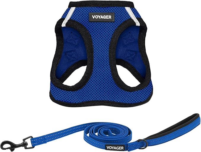 Best Pet Supplies Voyager Step-in Air All Weather Mesh Harness and Reflective Dog 5ft Leash Combo with Neoprene Handle, for Small, Medium and Large Breed Puppies - Set (Royal Blue/Black Trim), X-Large