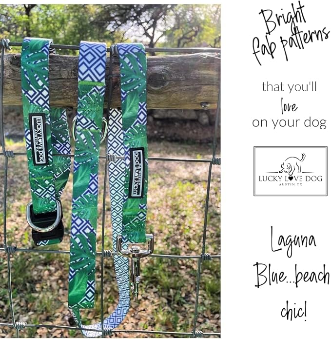 Lucky Love Dog Martingale Collar and Leash Set, Premium No Slip Martingale Collar for Small Boy Dogs, Great for Whippets, Greyhounds, and More (Small, Blue Laguna - Combo)