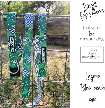 Lucky Love Dog Martingale Collar and Leash Set, Premium No Slip Martingale Collar for Large Boy Dogs, Great for Whippets, Greyhounds, and More (Large, Blue Laguna - Combo)