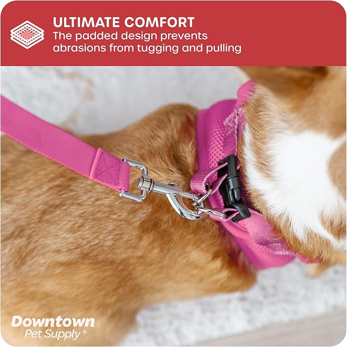 Downtown Pet Supply Step-in Dog Harness – No Pull, Adjustable Padded Mesh with Reflective Trim, Secure Buckle Strap – Comfortable & Breathable Small Dog Harness, XX-Small, Pink