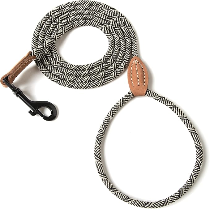 Mile High Life Small Dog Leash, Thin Rope Leash with Genuine Leather Connection and Heavy Duty Metal Clasp, Great for Small Medium Dogs(White,60 Inch-1/3)