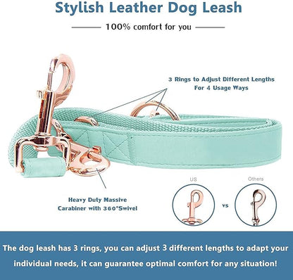Soft Leather Dog Collar and Leash (6.6') Set - Stylish Rose Gold Heavy Duty Metal Buckle, 4 Adjustable Lengths Leash for Small Medium Large Dogs - Comfortable & Easy to Clean Mint Green S(12.2"-16.9")