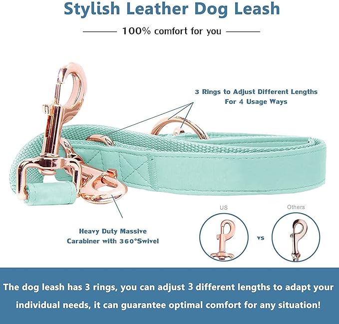 Soft Leather Dog Collar and Leash (6.6') Set - Stylish Rose Gold Heavy Duty Metal Buckle, 4 Adjustable Lengths Leash for Small Medium Large Dogs - Comfortable & Easy to Clean Mint Green XS(8"-12")