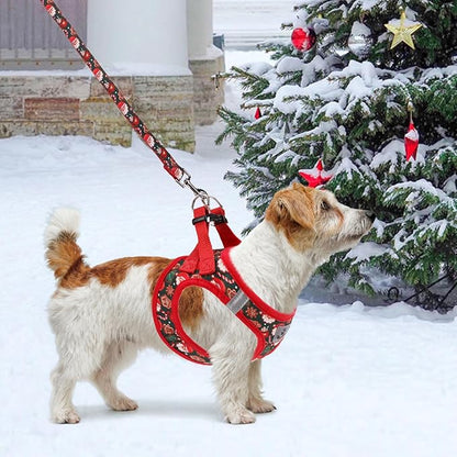 KOOLTAIL Christmas Dog Harness for Small Medium Dogs,Dog Harness and Leash Set, Step in No Pull Soft Mesh Padded Adjustable and Reflective Pet Vest Harness Puppy, Extra Harness for XS S Dogs, M