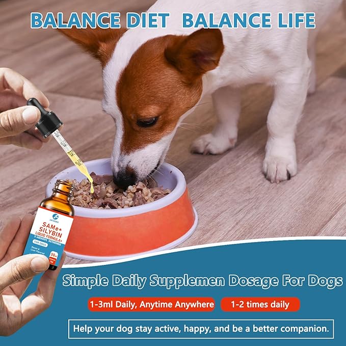 SAMEe for Dogs 500mg Liquid Drops with Silybin – Bacon Liver Flavored Liver Support Supplement for Dogs – S-Adenosyl Methionine & Milk Thistle Extract 60ml (2oz)