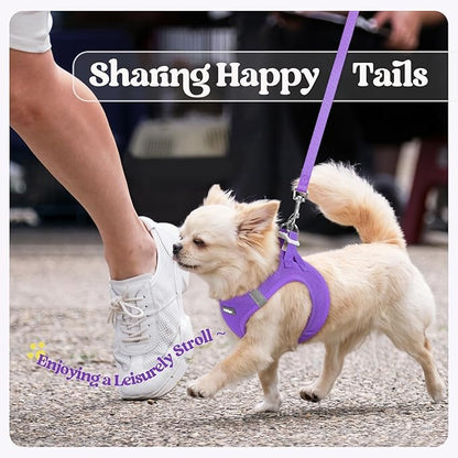 rabbitgoo Dog Harness Small Sized and Leash Set, Step in Soft Light Puppy Vest, Breathable Mesh Pet Harness, Reflective for Safe Outdoor Walking, Purple M