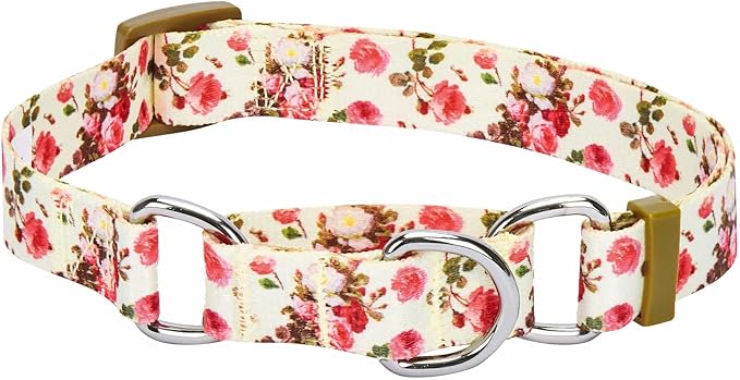Blueberry Pet Spring Scent Inspired Rose Print Martingale Safety Training Dog Collar, Ivory, Small, Heavy Duty Adjustable Collars for Dogs
