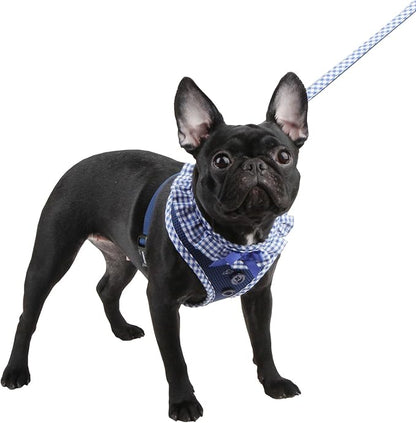 Authentic Puppia Vivien Harness, Royal, Small