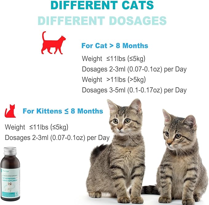 MARIMER Cat Immune Support Liquid Supplement – L-Lysine & Astragalus – Enhances Immunity and Relieves Feline Herpes Symptoms – Nutritional 3.38oz (100ml) for Cats of All Ages