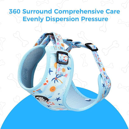Dog Harness and Leash Collar Set with Dog Poop Bag Holder and Bandanas, Escape Proof Adjustable Puppy Cat Vest with Soft Mesh Padded, Pet Supplies for Small Medium Large Dogs Kitten(Blue Beach, XS)