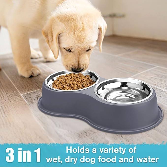 Epetslove Dog Bowl Double Dog Water and Food Bowl Stainless Steel Bowls with Non-Slip Resin Station, Pet Feeder Bowls for Puppy Medium Dogs Cats