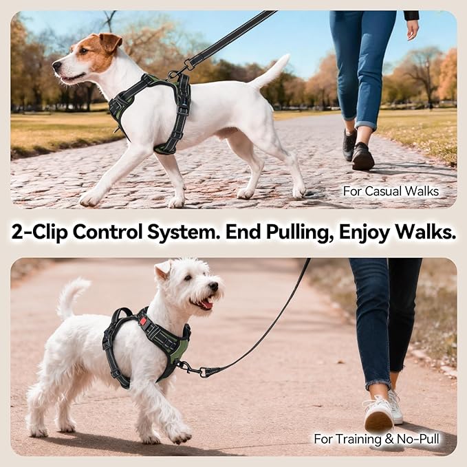 PHOEPET No Pull Dog Harness with Handle Front & Back Clip, Easy on Lockable Snap Buckle at Neck, Adjustable Reflective Vest with Handle for Small Medium Large Dogs (XL, Misty Green)
